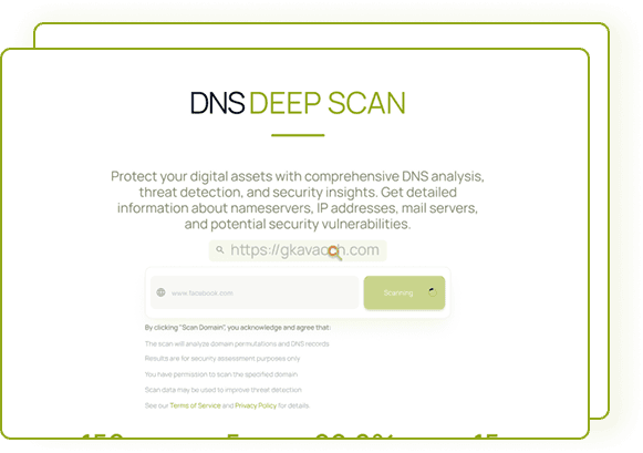 DNS DeepScan interface